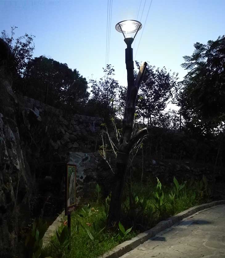 廠(chǎng)家供應(yīng)0接線(xiàn)光能景觀(guān)燈